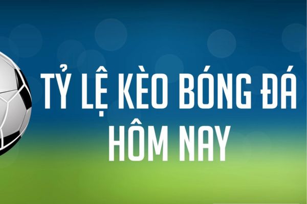 Những lưu ý khi tham gia 