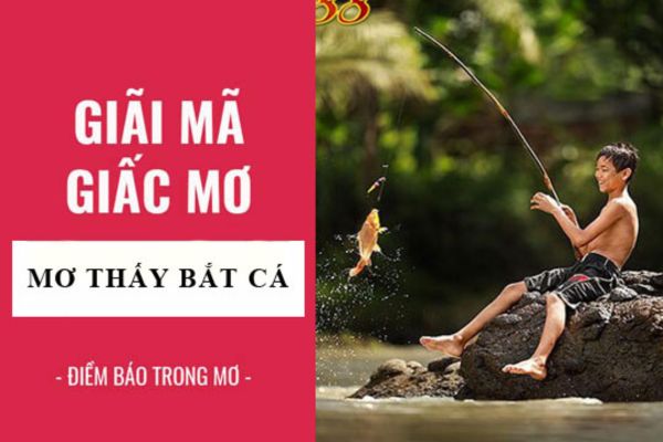 Thông tin giấc ngủ giải mã bắt được nhiều cá